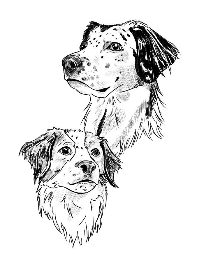 Lineart of two dog heads.